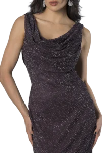 Woman wearing a dark purple, speckled dress with a draped neckline and dangling earrings (upper body).