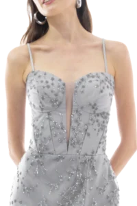 Person wearing a light gray beaded formal dress with a plunging neckline and hoop earrings.